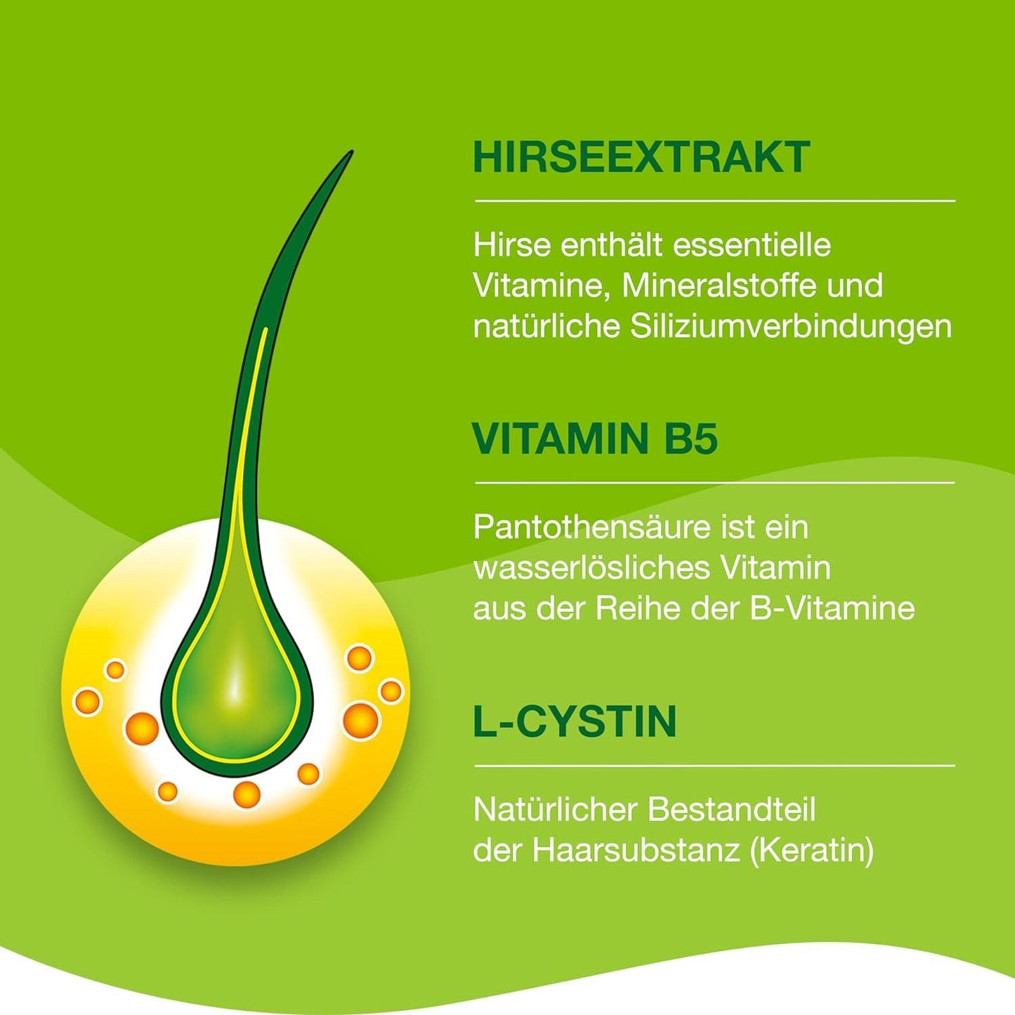 Priorin Capsules 270 Made in Germany