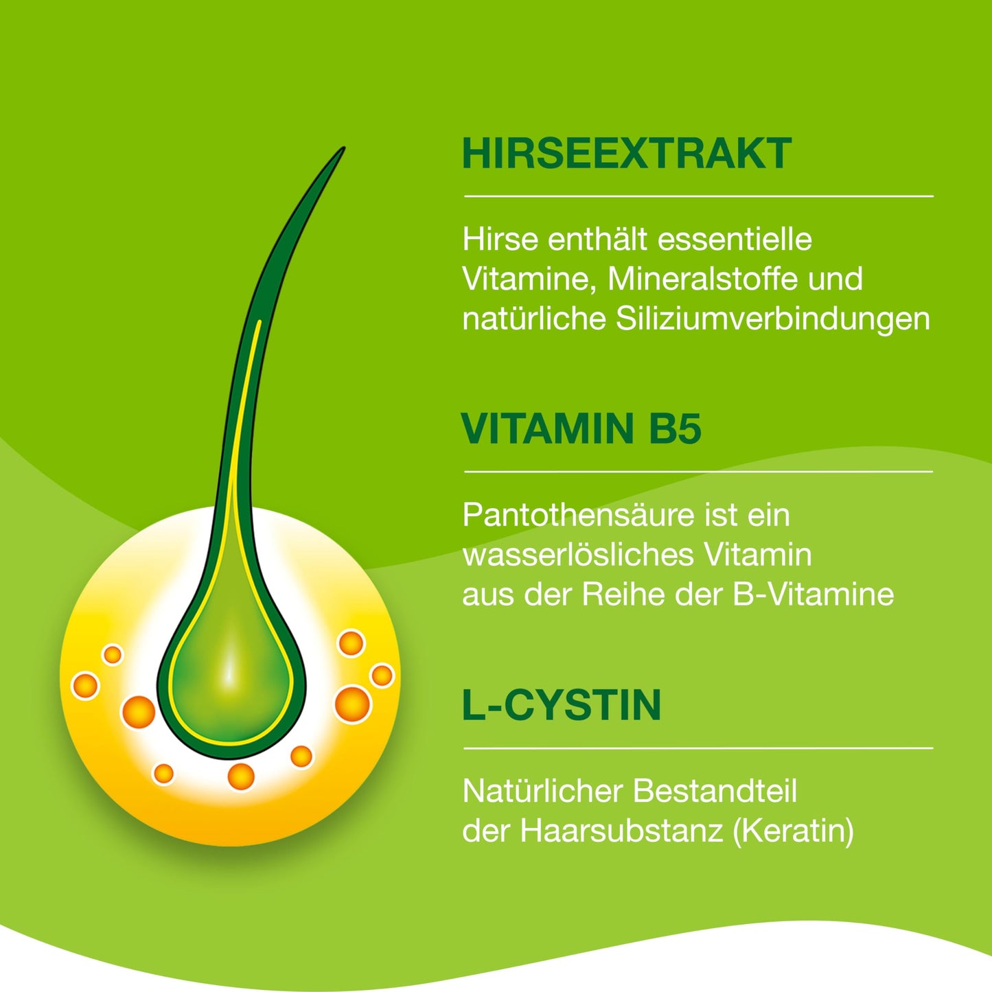 Priorin Capsules 120 Made in Germany